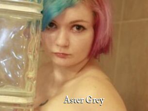 Aster_Grey