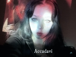 Accadavi