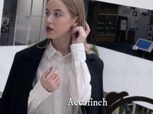 Accafinch