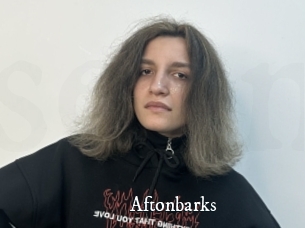 Aftonbarks