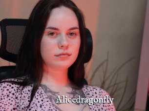 Alicedragonfly