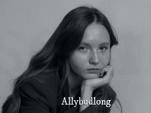 Allybudlong