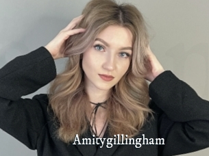 Amitygillingham