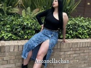Antonellachan
