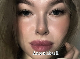 Antoniabasil