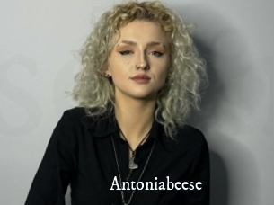 Antoniabeese