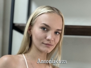 Antoniacatts
