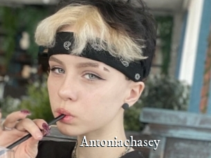 Antoniachasey
