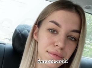 Antoniacodd