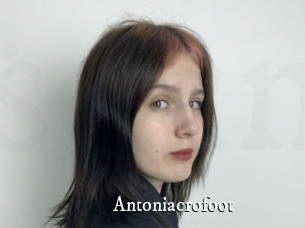 Antoniacrofoot
