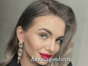 Antoniagoodwyn