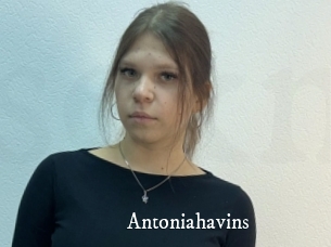 Antoniahavins