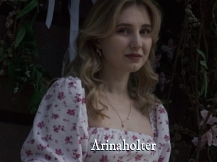 Arinaholter