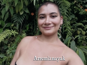 Artemiznayak