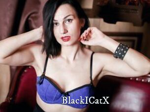 BlackICatX