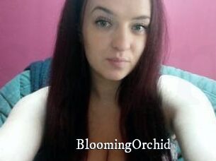 BloomingOrchid