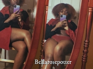 Bellarosepotter