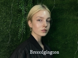 Breeedgington