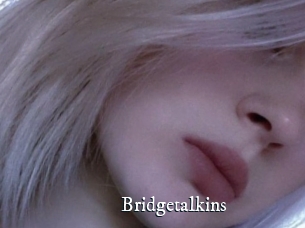 Bridgetalkins