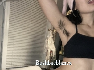 Bushbaeblanca
