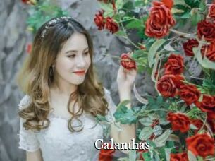 Calanthas