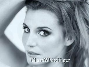 ClaraWhiteTiger