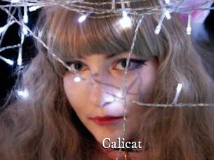 Calicat