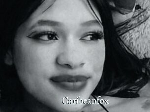 Caribeanfox