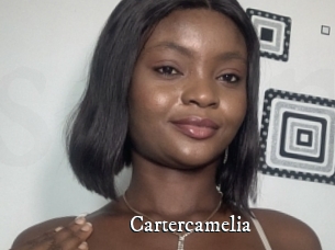Cartercamelia