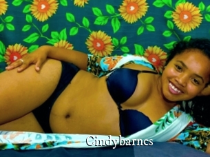 Cindybarnes