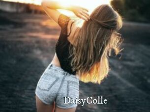 DaisyColle