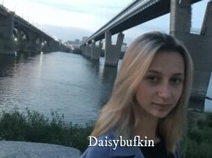 Daisybufkin