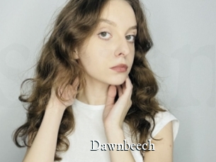 Dawnbeech