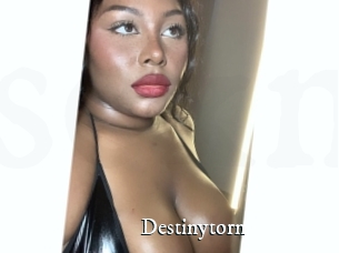 Destinytorn
