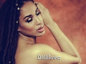 Didiflower