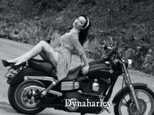 Dynaharley