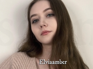 Elviaamber