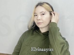 Elvinaaytes