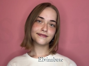 Elvinabute
