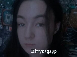 Elwynagapp