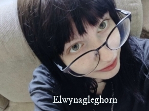 Elwynagleghorn