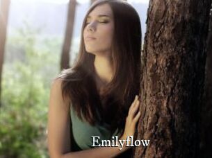 Emilyflow