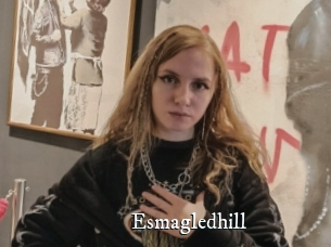 Esmagledhill