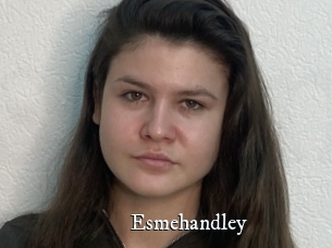 Esmehandley