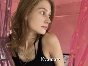 Evamate