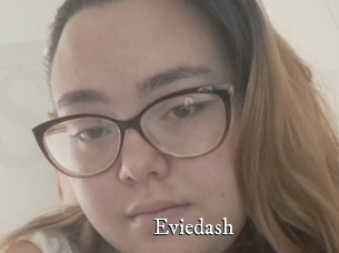 Eviedash