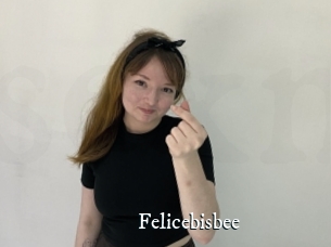 Felicebisbee
