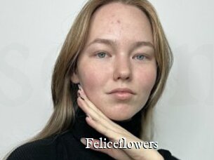 Feliceflowers