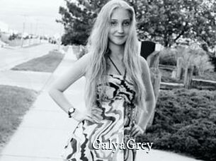 GalyaGrey