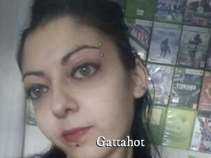 Gattahot